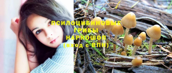 кокаин Богданович