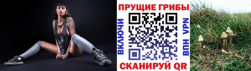 Галлюциногенные грибы мицелий  даркнет сайт  Шумиха 