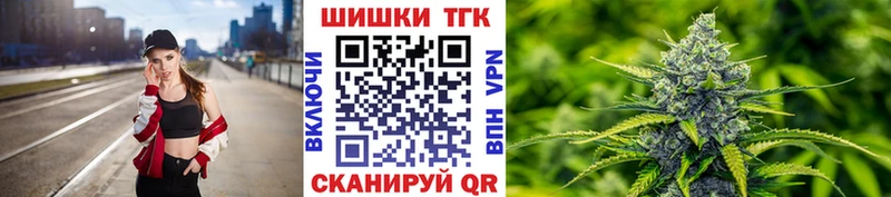 наркотики  Шумиха  Марихуана сатива 